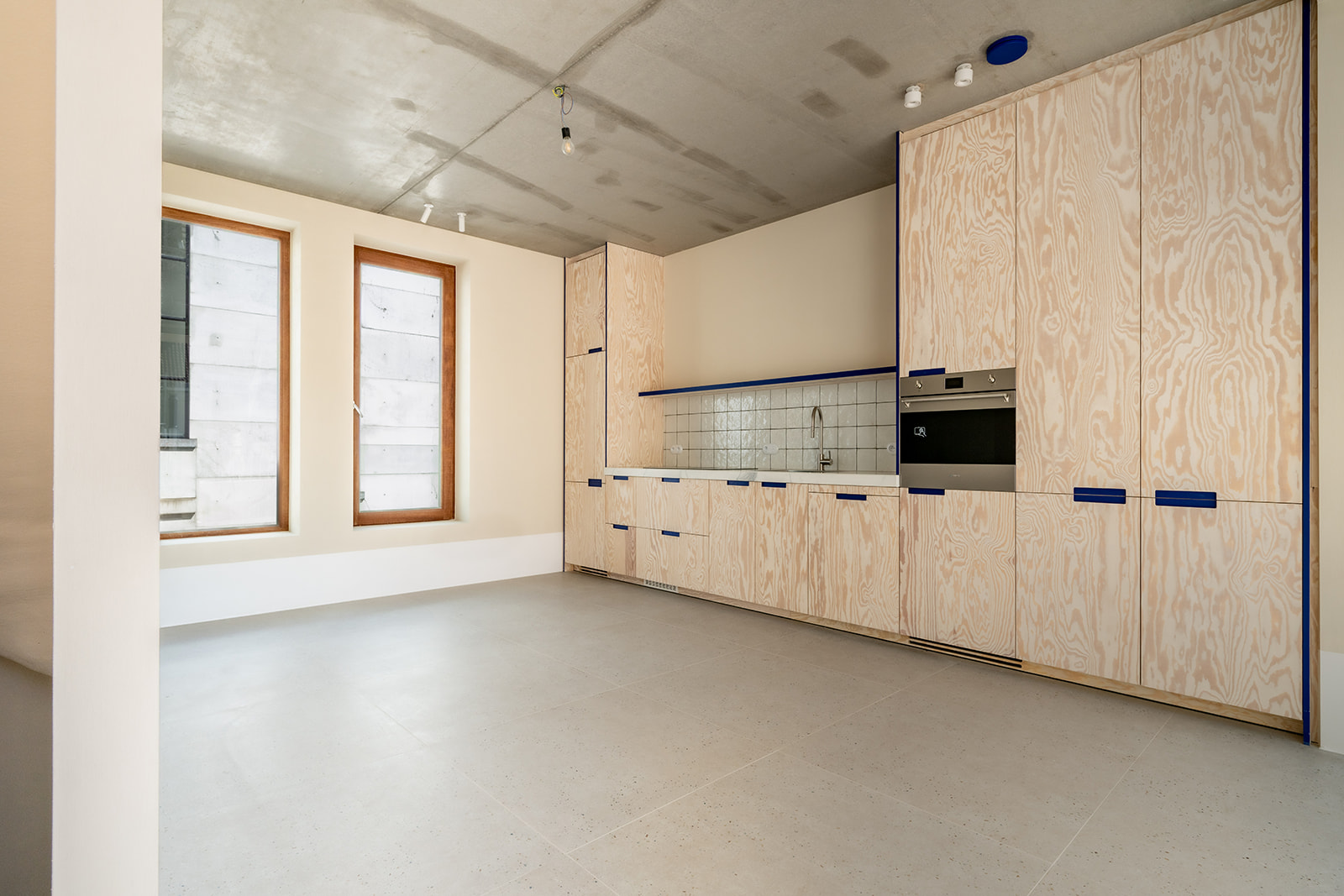 Kitchen with plywood and blue accents